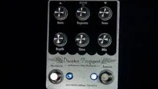 Earthquaker Devices Disaster Transport Delay