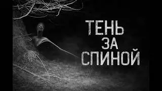 ТЕНЬ ЗА СПИНОЙ 2... Страшная история на ночь. Смертельный приговор.