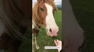 Делится надо со всеми