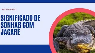 Sonhar com jacaré significado completo