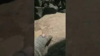 #работа #золото #золотодобыча #золотаялихорадка #врек #farming