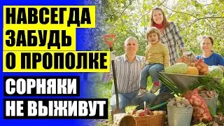 🎯 КАК БОРОТЬСЯ С СОРНЯКАМИ НАРОДНЫМИ СРЕДСТВАМИ 😎 ВЕЩЕСТВО ОТ СОРНЯКОВ НА МОРКОВИ ⛔