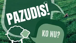 Pazudis... Ko nu? 29.03.2020.