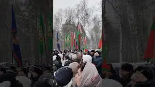Ола - это 12 Хатыней... 🙏