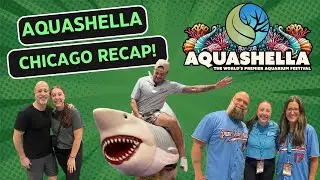 Aquashella Chicago Recap