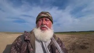 Ветер Мелочь Кулички