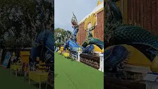 พญานาคราชสวยๆ