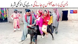 Wada Number Daar Noori Dolhan Bhains Par Bhola Khushia Kirli New Funny Comedy Video 2022  | You Tv