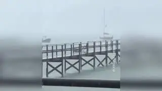 Лучшие преколя