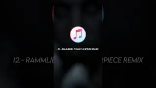 Rammstein - Liebe ist für alle da (Datos curiosos)