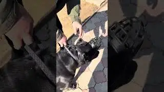 Ну что ж 🤣