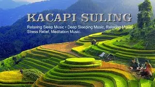 Relaxing Sleep Music • Deep Sleeping Music, Relaxing Music, Stress Relief, Meditation Music.