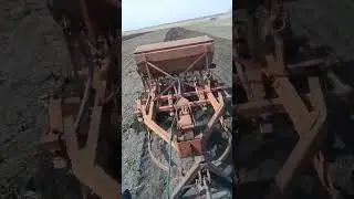культивация