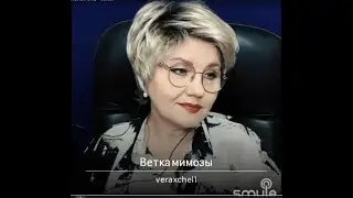 Аксенова Вера.Ветка мимозы (муз.Федоркова А.сл.Танича М.)