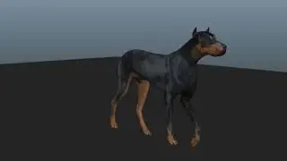 Paola Schiavon - 3D Animator