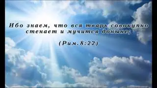 Кто любит мир сей в том нет любви Отчей (Проповедь 1)