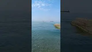 Дедеркой 31 августа 2024