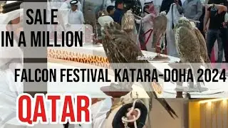 HUNTING FALCONS at S'HAIL KATARA INTERNATIONAL HAUNTING FALCONS EXHIBITION 2024