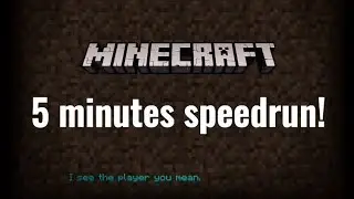Minecraft Speedruns Be Like...