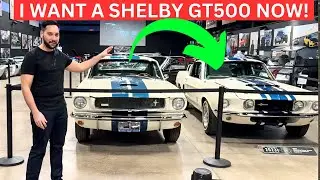 I Took A SHELBY Museum Tour and Found My Dream Shelby GT500 There!