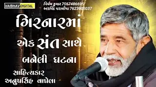 એક સંત સાથે ગિરનારમાઁ બનેલી ઘટના || સાહિત્યકાર - અનુપસિંહ વાઘેલા @VaibhavDigital
