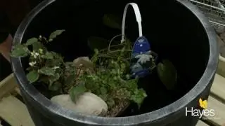 How to make a barrel pond