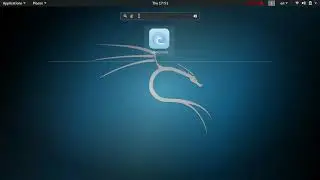 Как установить торрент на Kali linux 2019