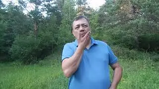 САДЫ ВЫСОКОЙ СИММЕТРИИ или РОДОВЫЕ СВЯЩЕННЫЕ РОЩИ.  БИО-ФЕРМА МАНГАЛИЦА