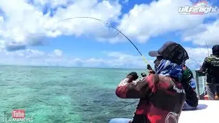 Ultra Light casting Relix Nusantara capung 2-6 lbs ft fugu Tora 1000. PE Natuna 0,8 mm. Lider 15 lbs