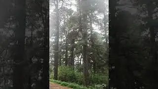 #shorts