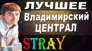 Dota 2 - Stray228 Лучшее Владимирский централ, стрей следит за тинкером