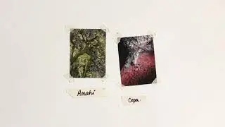 Cepa. - Anahí (Audio oficial)