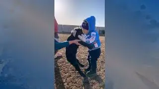 Алимансур: Қошақаным қайда екен?