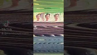 tiktok trending