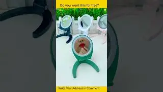 🥰 New Smart Item Appliances & Kitchen Gadgets For Every Home  🏠Appliances, Smartzen Gadget #shorts