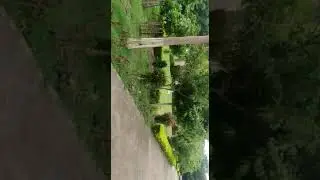 nsti indore campus in rainy season 😘😘😘😘