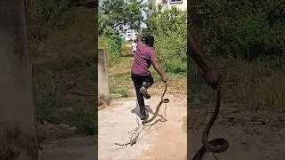 #Indian