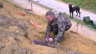 Rabbit Control at East Anglian Pest Control