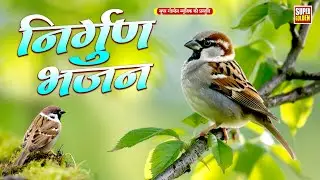 जिंदगी बदल देगा ये निर्गुण भजन | Rani Thakur | Bhojpuri Superhit Nirgun Bhajan 2025