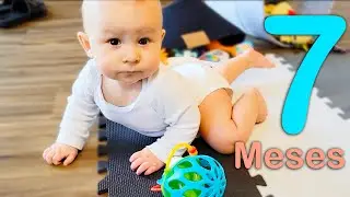 7 Month Old Baby Development | Lorena Vargas Physical Therapist