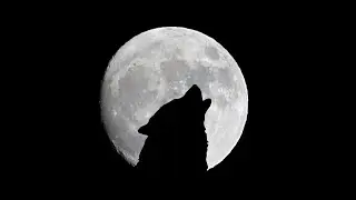 Unmasking the Old Stinker: The Hull Werewolf