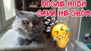 ночь прошла удачно ТРЕЩИТ ГОЛОВА ПОСЛЕ ВЧЕРАШНЕГО / покупки для поправки