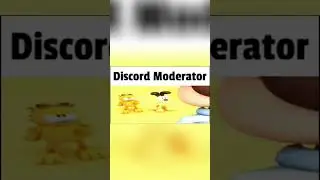 Discord Moderator Moment #funny #discord