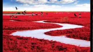 Most Amazing Natural Scenary