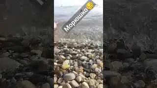 Агой