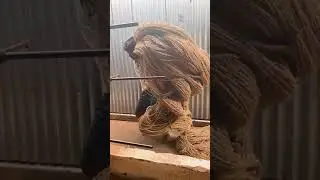Coconut factory vlog video #vlog #blog