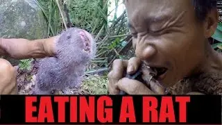 Hunting a RAT | Tarzan (3/11)