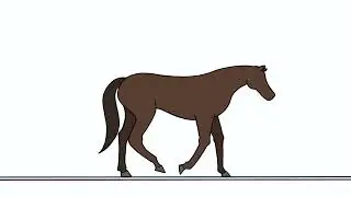 Uni Year 1 Project 5: Quadruped Walk Cycle and Bird Flight Cycle