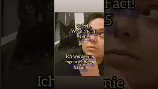 Valeria, what a Fact! Nr. 15. Ich werde nie eigene Kinder haben #childfree #kinderlos
