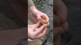 Рыбу в магазине больше не покупаю